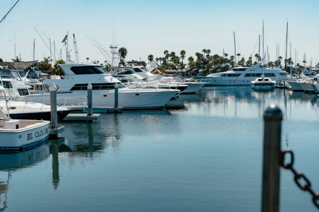 Boats docked at a marina