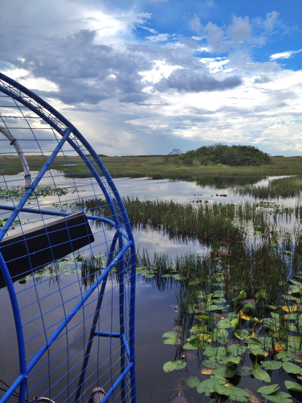 Airboat on Florida Everglades