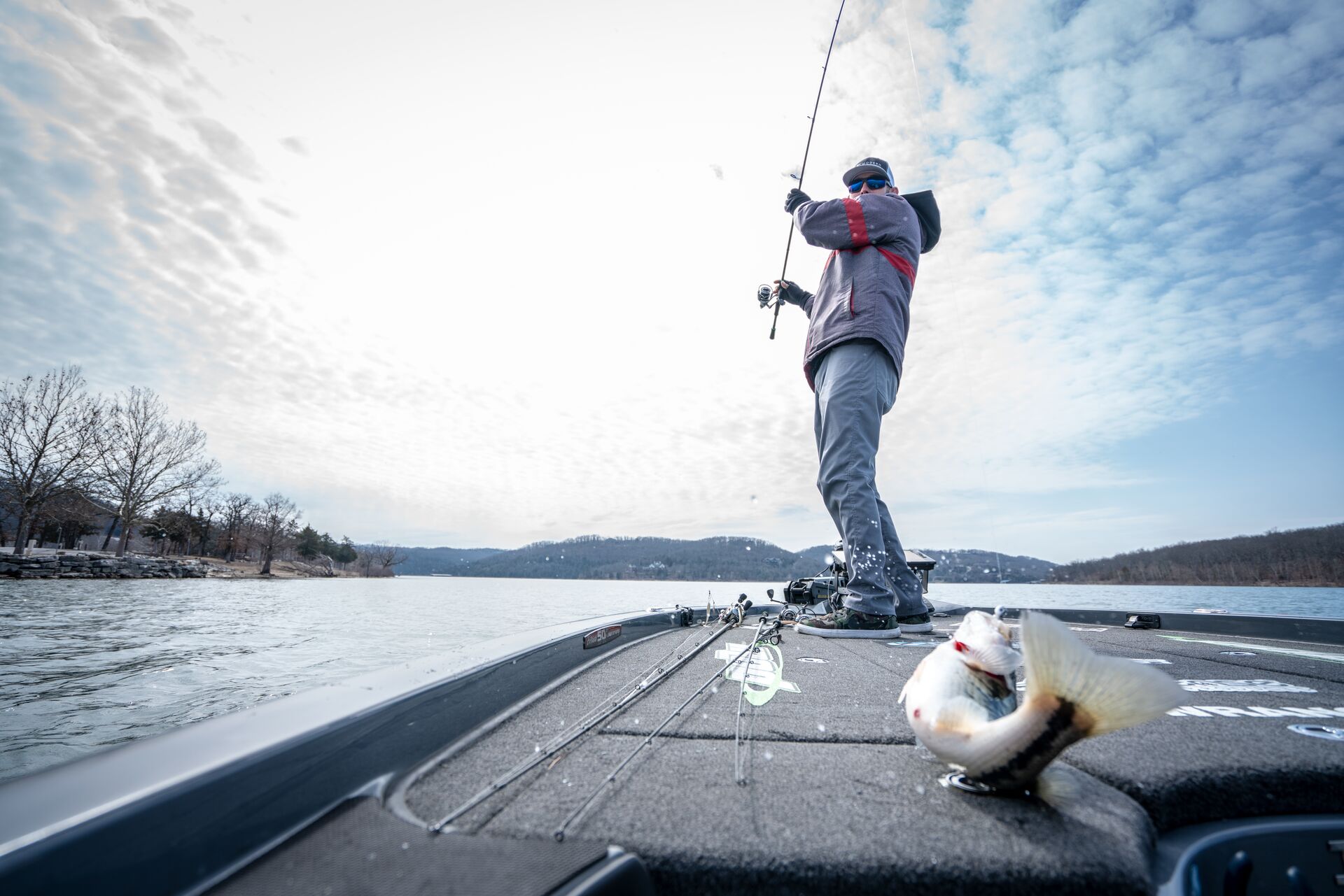 An angler reels a fish onto a boat.