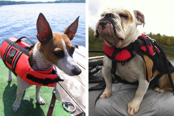Find a Perfect fitting Life Jacket in 5 Steps